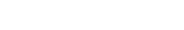VCEN International Logistics